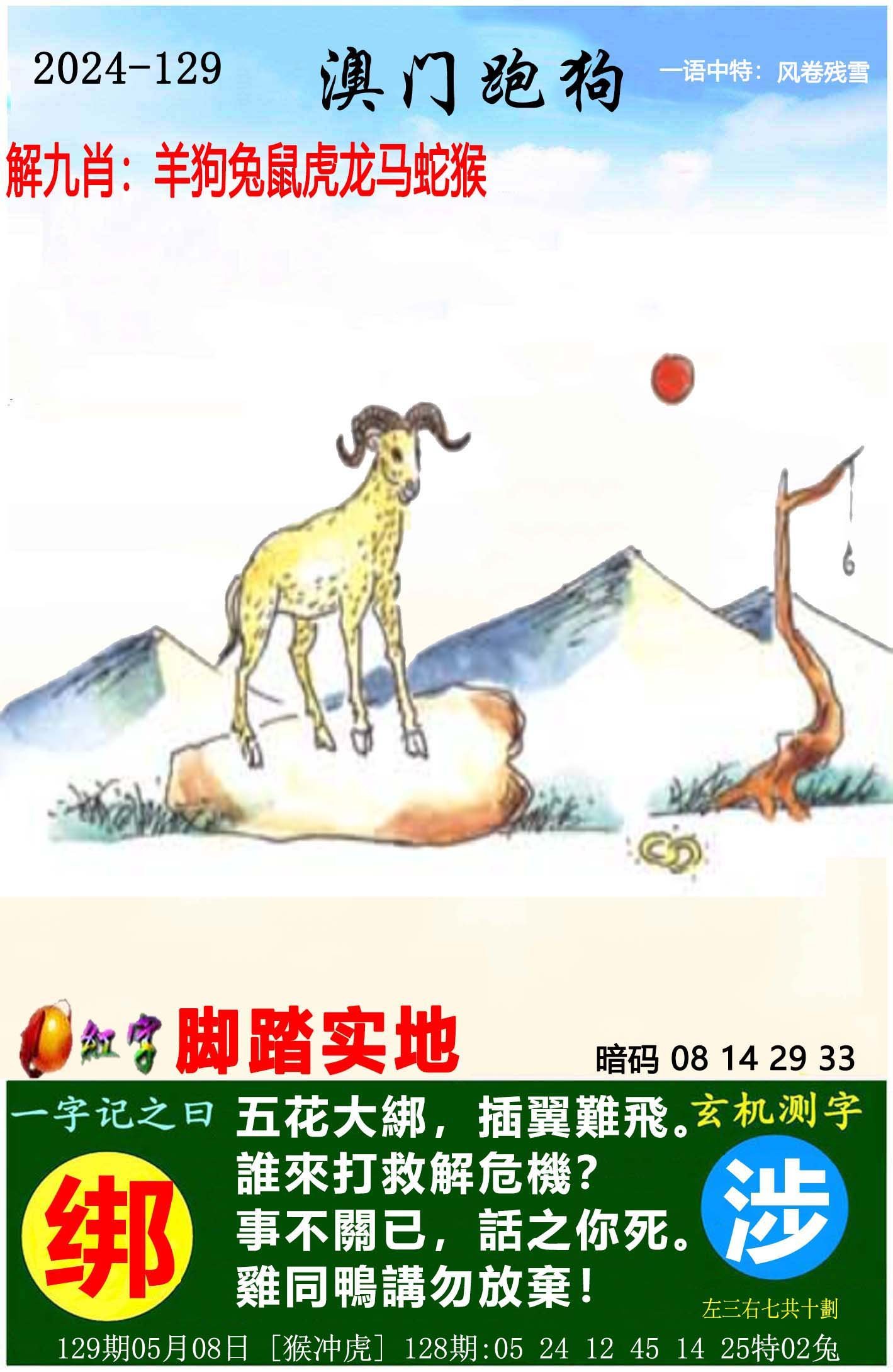 800百图库澳彩资料	