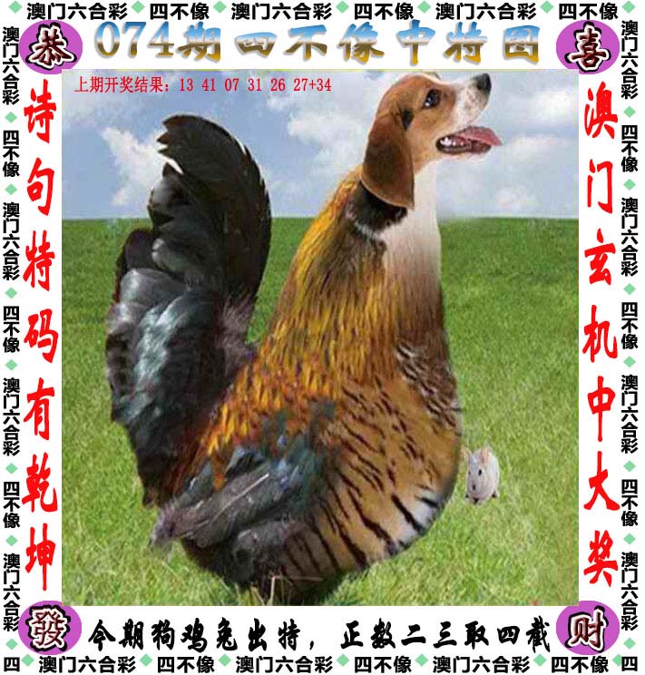 澳彩49号图库49图库全新版	
