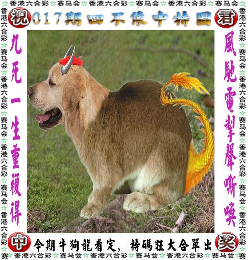 香港正版免费资料大全