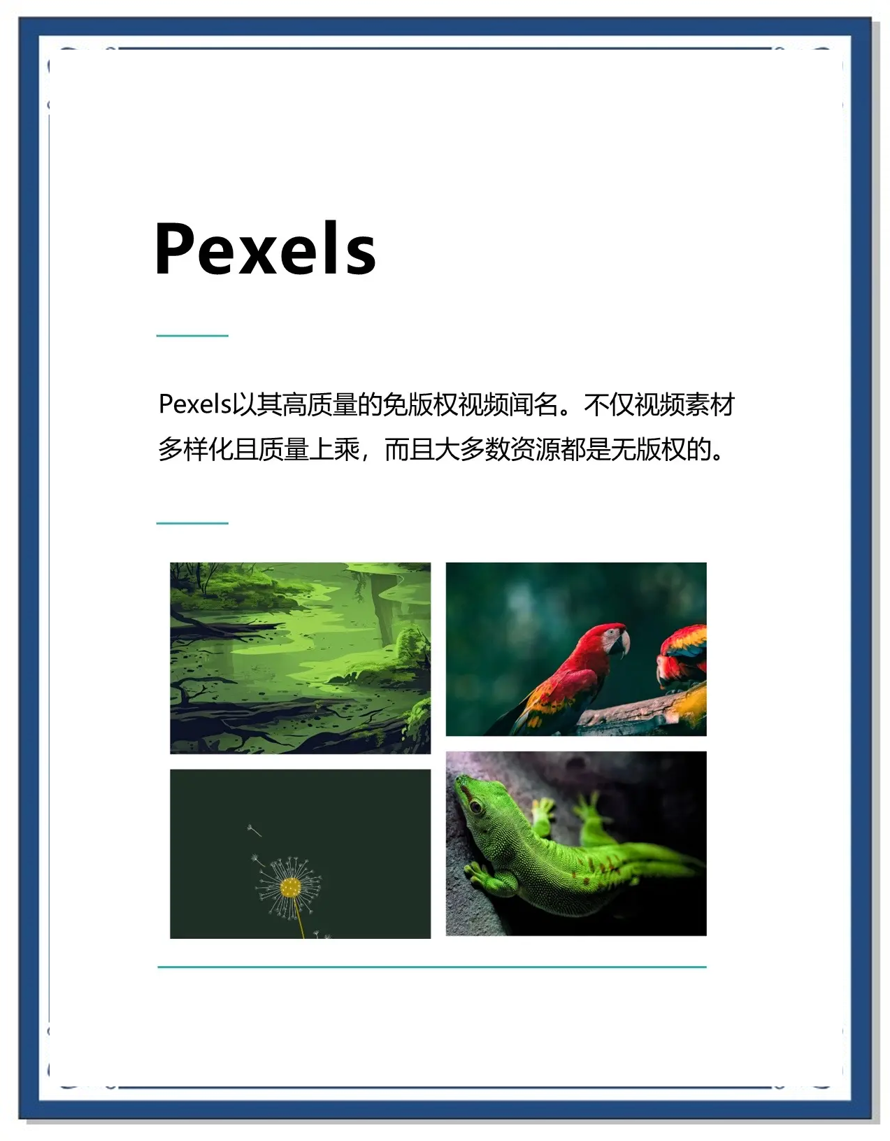 正版免费素材网站